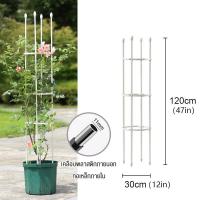 ราคา PG ซุ้มไม้เลื้อย สีขาว สีดำ โครงเหล็ก ปลูกกุหลาบ เหล็กแข็งแรง กันสนิม โครงต้นไม้เลื้อย โครงเหล็กดัด (20522455898)