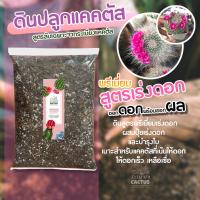 ราคา ดินปลูกแคคตัสพรีเมี่ยม ดินปลูกต้นไม้ พร้อมปลูก ส่วนผสม10ชนิด จัดเต็ม ดินแคคตัสพรีเมี่ยม ดินกระบองเพชร ดินปลูกแคคตัส (10334979403)