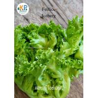ราคา ผักสลัดอินทรีย์ Organic salad vegetables (19546026761)