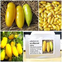 ราคา เมล็ดพันธุ์ มะเขือเทศกล้วย Yellow Banana Lag tomato Seed 20 เมล็ด คุณภาพดี ราคาถูก ของแท้ (6495316355)
