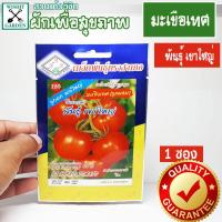 ราคา เมล็ดพันธุ์ มะเขือเทศ พันธุ์เขาใหญ่ 1 ซอง เมล็ดพันธุ์ผักเพื่อสุขภาพ เมล็ดพันธุ์คุณภาพ เมล็ดพันธุ์ตราสามเอ (1903180115)
