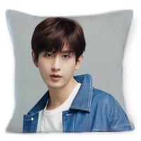 ราคา หมอนอิง ปลอกหมอนอิงผ้ากำมะหยี่ลายเฉิงอี้ Cheng Yi ดาราจีน พิมพ์ลาย2ด้าน ปลอกมีซิปถอดซักได้ (20502683206)