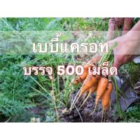 ราคา เมล็ดเบบี้แครอท 500 เมล็ด คัดพิเศษ ซื้อ 10 แถม 1 (7833162293)