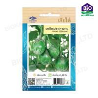 ราคา เมล็ดมะเขือเปราะคางกบ เจียไต๋ ขนาดบรรจุ 1 กรัม (19804826286)