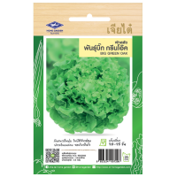 ราคา เมล็ดผักสลัด เจียไต๋ เมล็ดพันธุ์ กรีนคอส เรดโอ๊ค กรีนโอ๊ค ฟิลเล่ย์ สลัดมิกซ์ เรดคอส เมล็ดสลัด เมล็ดคุณภาพเกรดเอ อัตราการงอกสูง homes (16595847533)