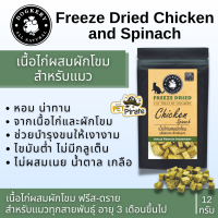 ราคา Dogkery ขนมแมว ฟรีซดรายแมว เนื้อปลาแม็กเคอเรล น่าทาน บำรุงขน ไขมันต่ำ ไม่มีกลูเต็น Freeze Dried Fish Mackerel บรรจุ 12 กรัม (14152726040)