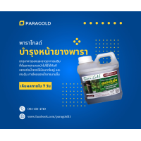 ราคา พาราโกลด์ ผลิตภัณฑ์อินทรีย์ ปุ๋ยชีวภาพ ปุ๋ยทาบำรุงหน้ายางพารา เพิ่มน้ำยาง เพิ่มเปอร์เซ็นต์ รักษาโรคหน้ายางตายนึ่ง 1 ลิตร (17915331828)
