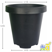 ราคา กระถางไม้กราฟ กระถางทรงสูง 4 4 7 5 5 7 6 6 8 7 นิ้ว 50 ใบ (21243430353)