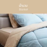 ราคา SANTA ชุด ผ้าปูที่นอน ผ้านวม ผ้าห่ม สีเขียว สีน้ำตาลอ่อน 3 5 5 6 ฟุต (5582428856)