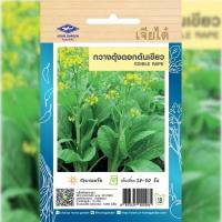ราคา เมล็ดพันธุ์ กวางตุ้งดอก ต้นเขียว ตราเจียไต๋ (19510474360)