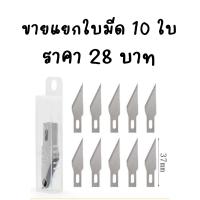 ราคา มีดกรีดยอดมะพร้าวบอนไซพร้อมใบมีด 1 ใบ มีดแกะสลัก มีใบมีดขายแยก 5 ใบ กับ 10 ใบ (10167465638)