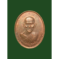 ราคา เหรียญหลวงปู่ญาท่านสวน วัดนาอุดม อุบลราชธานี เนื้อทองแดง เหรียญเม็ดแตง สวยมาก 4146 (18952332407)
