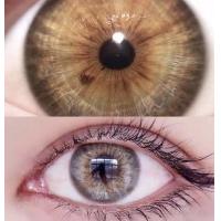 ราคา คอนแทคเลนส์ DNA Brown Gray ยี่ห้อ Wink Wow ค่าสายตา 700 (21104120306)