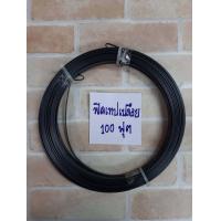 ราคา ฟิตเทปเปลือย 100 ฟุต fish tape ลวดร้อยสายไฟ (16618627930)