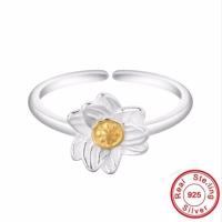 ราคา แหวนเงินแท้ S925 พร้อมกล่อง SR47 (13133234319)