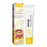 ราคา Lip Conditioner For Dry Lips Natural Chapstick For Men And Women Lightweight Organic Avocado Extract And Beeswax Lip Conditioning Balm For Men And Women 10g amicably (16871202348)