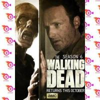 ราคา หนัง DVD ออก ใหม่ The Walking Dead Season 6 EP1 8 ยังไม่จบ เสียง ไทย อังกฤษ ซับ ไทย อังกฤษ DVD ดีวีดี หนังใหม่ (18857973327)