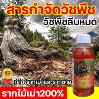 ราคา เกษตรกรต้องมี การ์ลอน200กรัม รากไม้เน่า200 ไม่ผสมสารเพิ่มน้ำหนัก ฆ่ากอไผ่ตายยันรากได้ผล มีผลภายใน 7 วัน ป้องกันกำจัดโรคพืช สารกำจัดกอไผ่ สารกำจัดตอไม้ ยาฆ่าตอไม้ ยาฆ่าตอไม้ใหญ่ ไตรคลอเพอร์ (2119722501