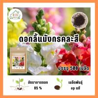ราคา เมล็ดพันธุ์ ดอกลิ้นมังกร คละสี บรรจุ 500 เมล็ด (21035600234)
