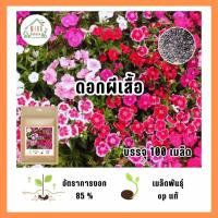 ราคา เมล็ดพันธุ์ดอกผีเสื้อบรรจุ 100 เมล็ด (21035903142)
