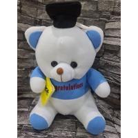 ราคา ตุ๊กตาหมี รับปริญญา นุ่มนิ่ม (18675503404)