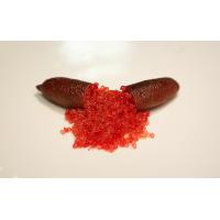 ราคา 1 ต้นมะนาวคาเวียร์ หรือ มะนาวนิ้วมือ FINGER CAVIER LIME สายพันธุ์ CRIMSON TIDE ขนาด 30 40 ซม พร้อมกระถาง6นิ้ว รากแน่น 6 เดือนพร้อมให้ผล (20956828531)