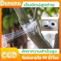 ราคา กว้าง 3cm ยาว 120m เทปพันกิ่งไม้ อุปกรณ์ทำสวน เทปพันตอนกิ่ง อุปกรณ์การเกษตร เทปพันกิ่งทาบ พลาสติกทาบกิ่ง เทปติดตาต้นไม้ ผ้าเทปพันกิ่ง เทบพันกิ่งไม้ เทปเสียบยอด เทปใสพันกิ่ง เทปพันต่อกิ่ง tree grafting