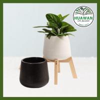 ราคา สินค้าขายดี ขาตั้งกระถาง ขาตั้งกระถางต้นไม้ ขาตั้งวางกระถางต้นไม้ ไม้ดิบลายธรรมชาติ (9589400306)