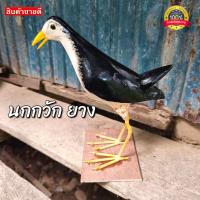 ราคา นกกวักยาง บ่วงเเขวน41 ได้2ชิ้น อุปกรณ์ดักนกกวัก ชุดดักนกกวัก บ่วงดักนกกวัก (20240415912)