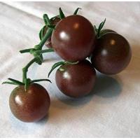 ราคา เมล็ดพันธุ์ มะเขือเทศ Black Cherry Tomato Seeds (849410078)