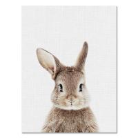 ราคา โปสเตอร์พิมพ์ภาพวาดฝาผนังตกแต่งรูปช้างโปสเตอร์ติดผนังห้องเด็กทารกภาพบนกำแพงโปสเตอร์โปสเตอร์ผ้าใบโปสเตอร์ติดผนังภาพติดผนังสำหรับตกแต่ง (18567972683)