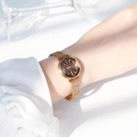 ราคา Eavanlin eavanlin นาฬิกาสายโซ่สำหรับผู้หญิง8002หน้าปัดขนาดเล็กประดับพลอยเทียมหน้าปัดเล็กสีขาวมีระดับ (20410088008)