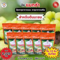 ราคา แมกซ่า ธาตุอาหารรอง ธาตุอาหารเสริมพืช แมกนีเซียม ซิงค์ เพิ่มคุณภาพและผลผลิตให้ต้นมะยม (21071692628)