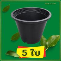 ราคา กระถางพลาสติกสีดำ ขนาด 10 นิ้ว กระถางต้นไม้ กระถางปลูกต้นไม้ กระถางถูก พลาสติกอย่างดี แข็งแรง ทนทาน ทนแดด ทนฝน ไม่กรอบง่าย พร้อมส่ง (16266600439)