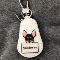 ราคา กระเป๋าน้องหมาใส่รีโมทรถยนต์ (4847636531)