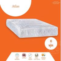 ราคา Furniture Intrend ที่นอน PE ฟองอัด บน ล่าง ผ้านอก รุ่น Atlas หนา 7 นิ้ว (8254244858)