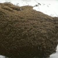 ราคา มูลไส้เดือน ขี้ไส้เดือน ปุ๋ยมูลไส้เดือน ปุ๋ยอินทรีย์ ธรรมชาติ ขนาดบรรจุ1 5 กิโลกรัม (10580039395)