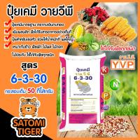 ราคา ปุ๋ยเคมี สูตร 6 3 30 ตรากบเงินกบทอง กระสอบเต็ม 50 กิโลกรัม ปุ๋ยเร่งหัวพืชทุกชนิด ช่วยให้หัวดก ใหญ่น้ำหนักดี เพิ่มรสชาติ เพิ่มผลผลิต (10743107840)