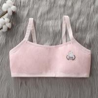 ราคา อันเดอร์เอียร์สำหรับเด็ก (21143135610)