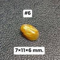 ราคา ไหมทองหลังเบี้ย สำหรับทำหัวแหวน (19708828290)