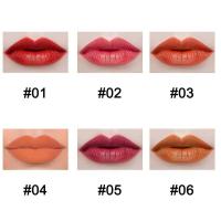 ราคา Product details of พร้อมส่ง ลิปสติก เนื้อแมท ลิปสติกกันน้ำ SAKURA Matte Lipstic เครื่องสำอาง ลิปสติก 813 ลิปสติกเนื้อแมท แบรนด์ SAKURA NO813 (16031186283)