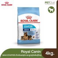 ราคา PETClub Royal Canin Maxi Starter Mother Babydog 3 ขนาด 1kg 4kg 15kg (12945533011)