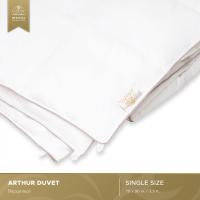 ราคา Luxury Pillow ไส้นวมอาเธอร์ ARTHUR DUVET (8829387374)
