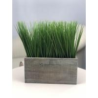 ราคา OrientalFineArt ต้นไม้ประดิษฐ์ Succulent tree ต้นไม้ปลอมสำหรับประดับตกแต่งบ้าน (2438370530)