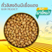 ราคา ถั่วลิสงดิบมีเยื่อแดง 1 กิโลกรัม Raw Peanut 1 kg (9972826553)
