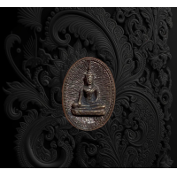 ราคา เหรียญหล่อเม็ดแตง หลวงพ่อพระใส วัดโพธิ์ชัย หนองคาย 3218 (17513098640)