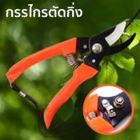 ราคา Replica shop กรรไกรตัดกิ่ง กรรไกร เลื่อยตัดไม้ ตัดกิ่งไม้ กรรไกรตัดกิ่ง แบบเลื่อย เลื่อยตัดกิ่งไม้ กรรไกร ตัดกิ่งไม้ กรรไกร (13786921219)