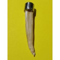 ราคา เขี้ยวหมูตัน เครื่องราง หากินเก่ง หากินคล่อง ของเก่าเก็บ ขนาดยาว 6x1 cm (17746737078)