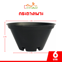 ราคา กระถาง กระถางต้นไม้ ชาม กระถางกลมทรงเตี้ย ถ้วยยาง เบอร์ 4 6 7 5 8 9 นิ้ว สีดำ สีขาว (20842907988)