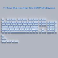 ราคา 113 Key Jelly Round Side Keycaps Ice Crystal Translucent Pink OEM Profile Key cap for Cherry MX 61 68 104 Mechanical Keyboard (20332647284)